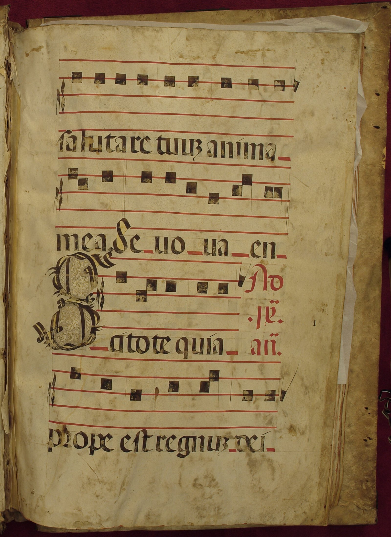 No hay una imagen disponible